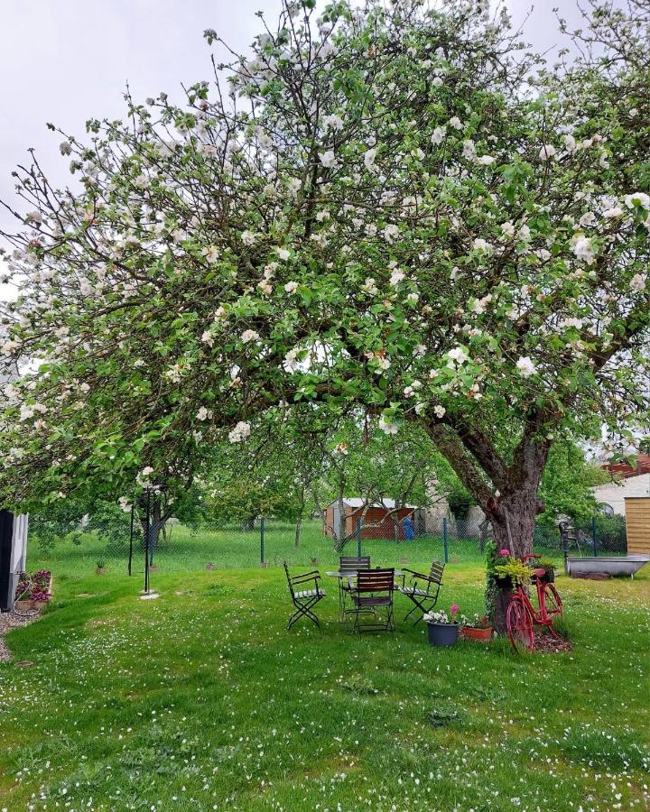 Gite Au Pommier Fleuri Et Son "Appart" Independant Hotel Drusenheim Exterior foto